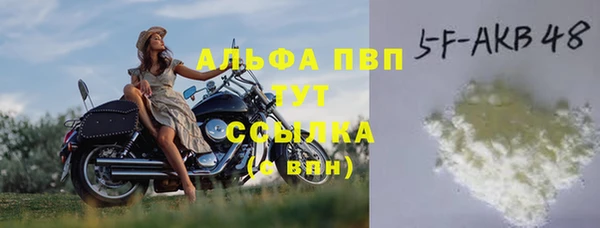PSILOCYBIN Липки