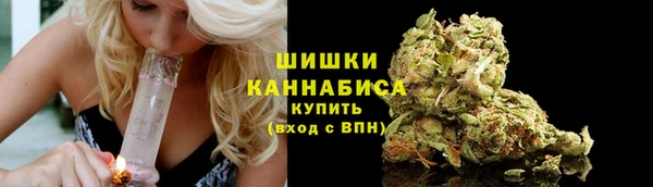 PSILOCYBIN Липки