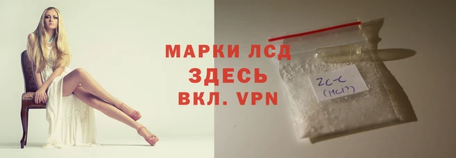 PSILOCYBIN Липки