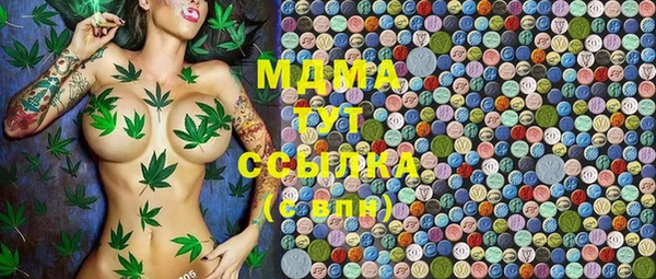 PSILOCYBIN Липки